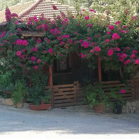 Elena's House Lefkadas Sivota