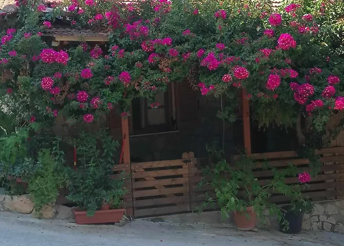 Elena's House Lefkadas Syvota